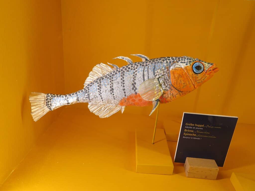 Historic Paper Mill Machinery