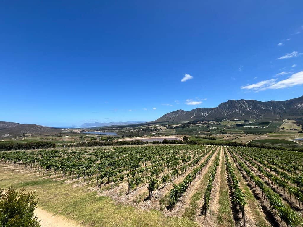 Stunning Hemel-en-Aarde Valley Views