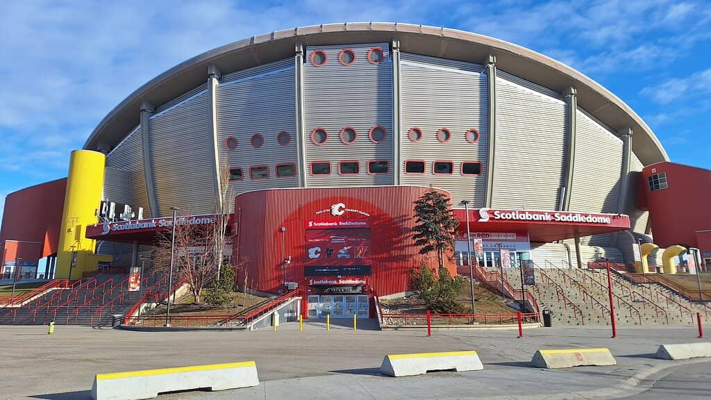 Concert Performances