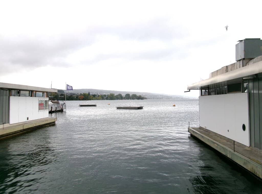 Lake Zurich Plunge