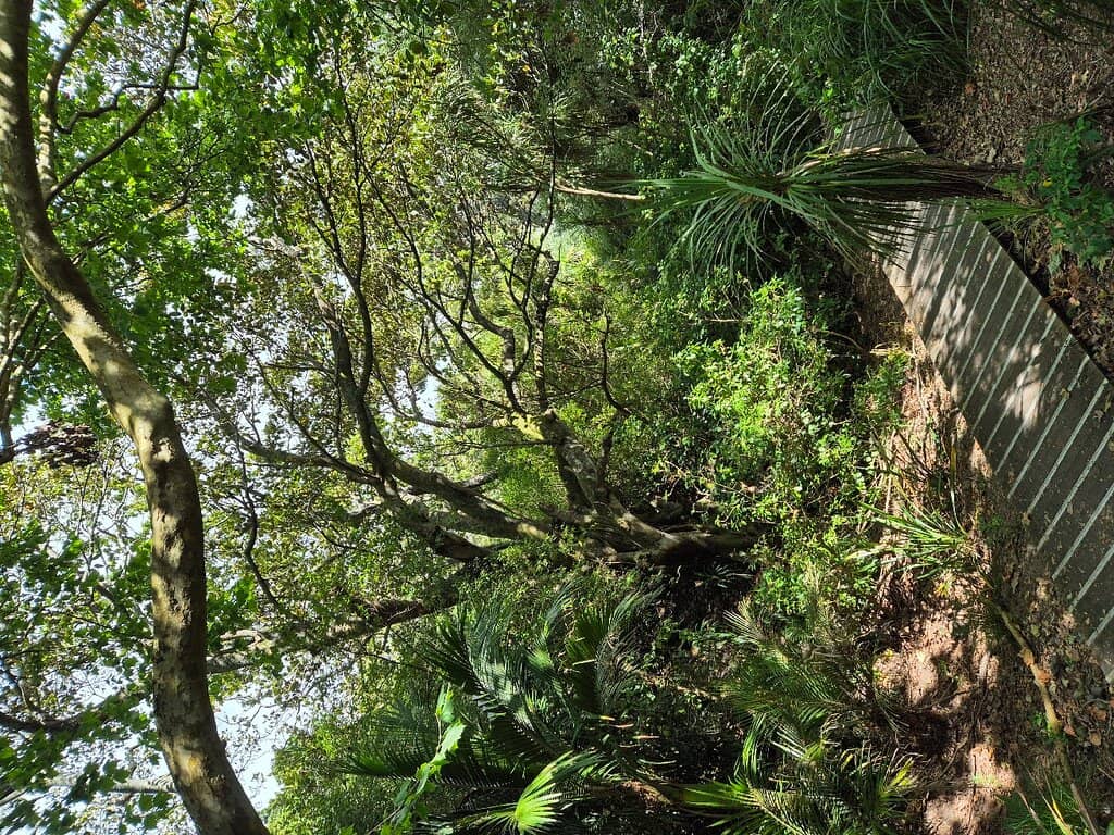 Vertical photo