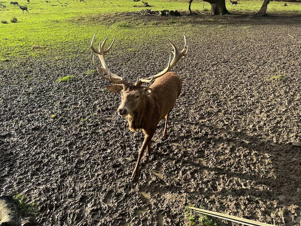 Vertical photo