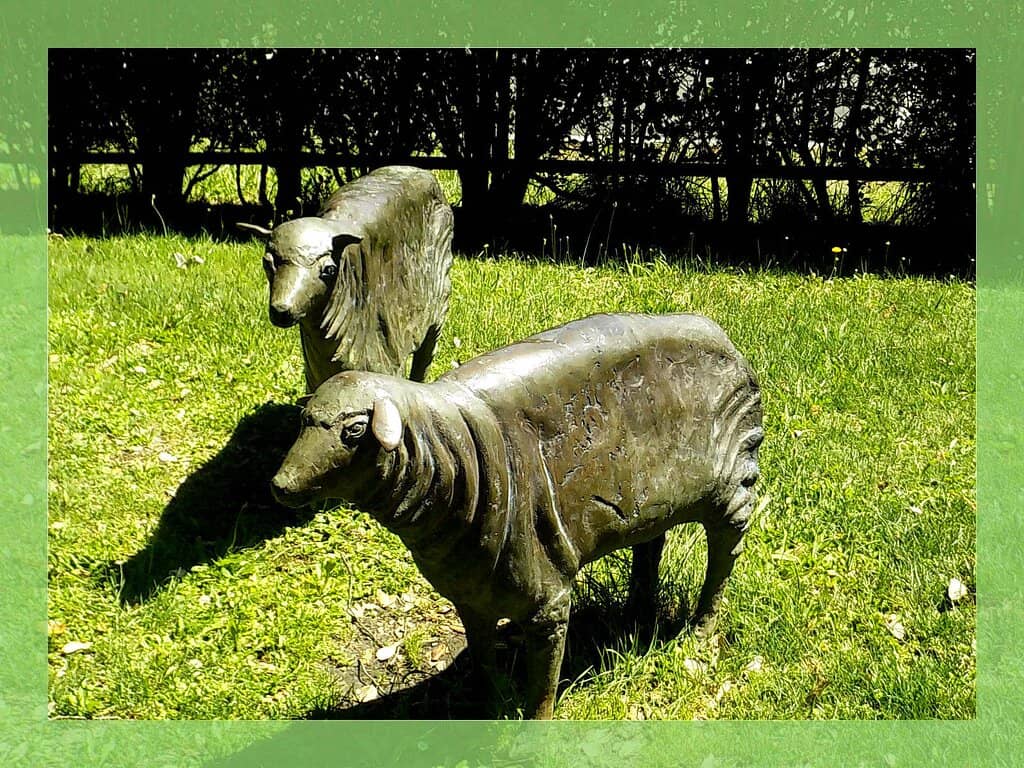 Children's Play Area