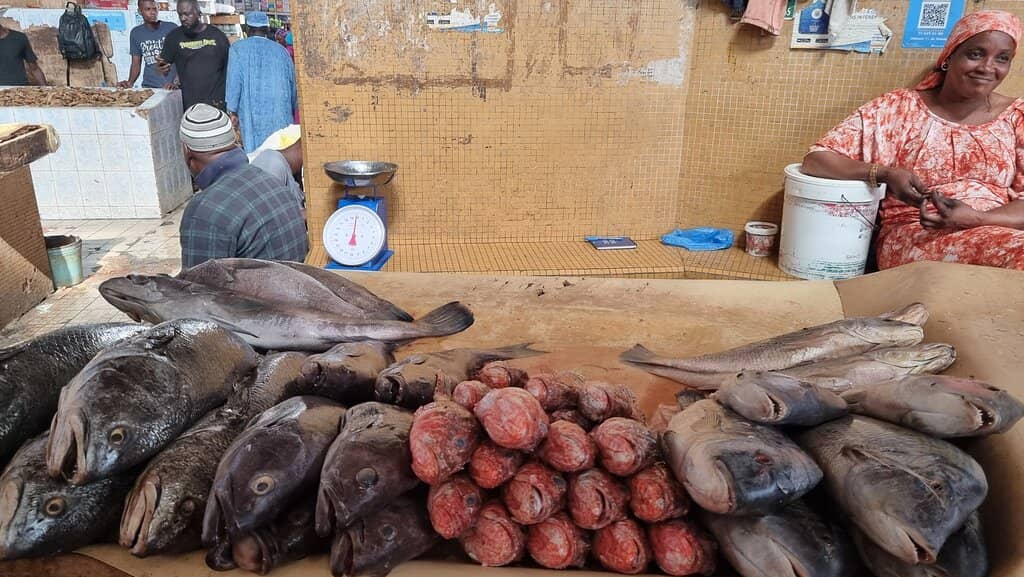 Vibrant Flower Stalls