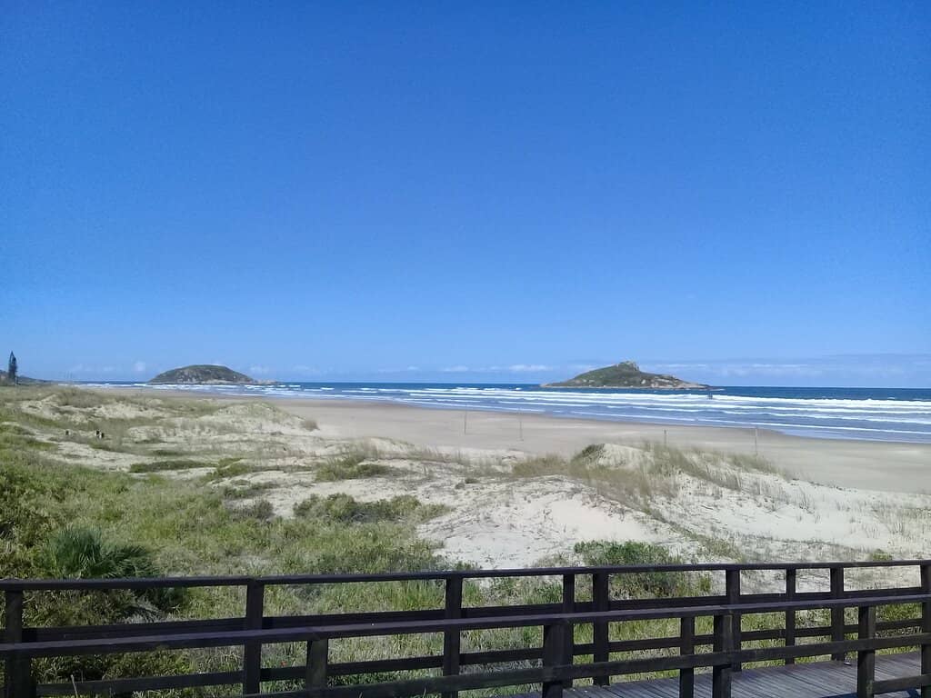 Whale Watching Opportunities