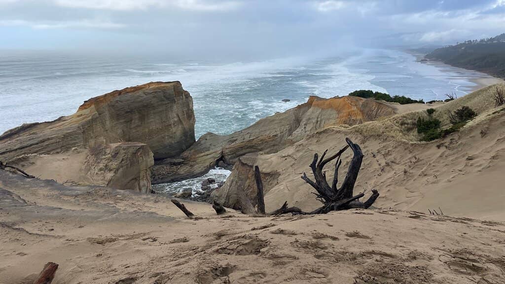 Tide Pools
