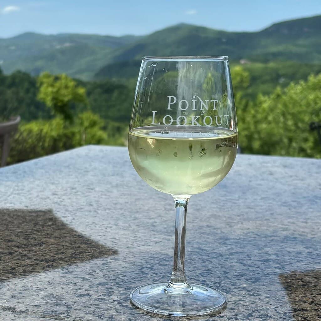 Spectacular Mountain Vistas