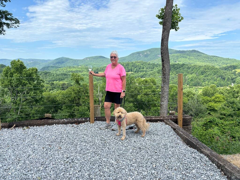 Wine Tasting Experience