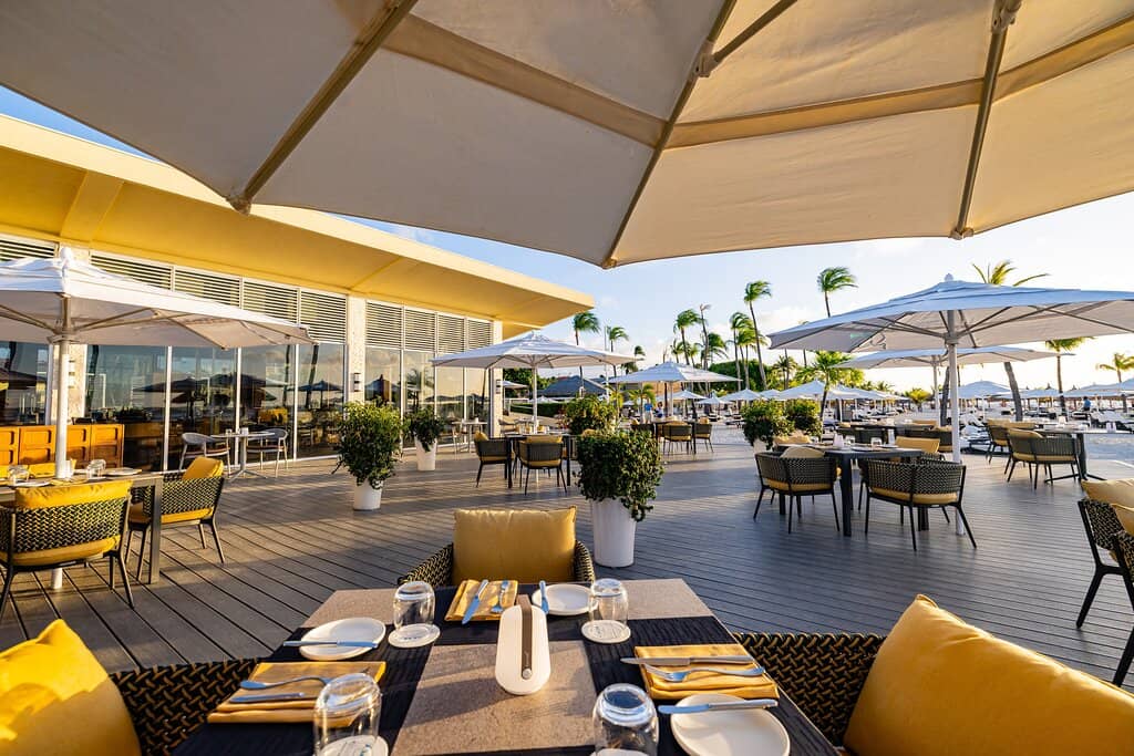 Culinary Delights for All