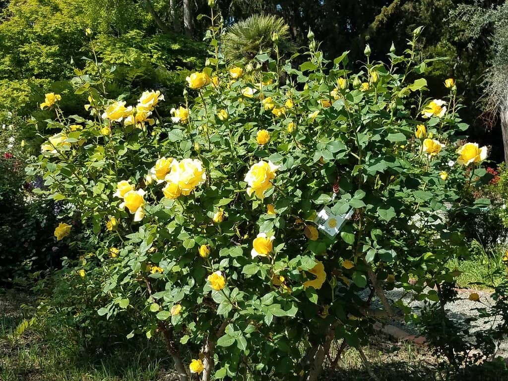 Historical Buildings