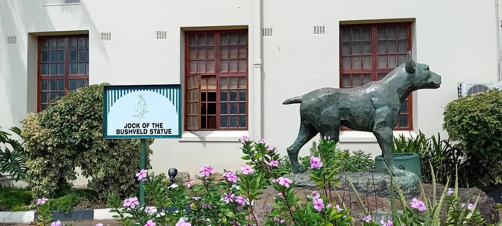 Knowledgeable Curator