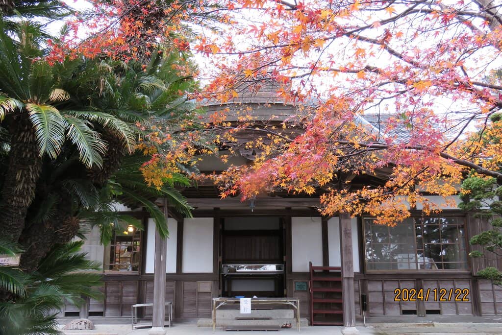 Personal Belongings & Self-Portraits