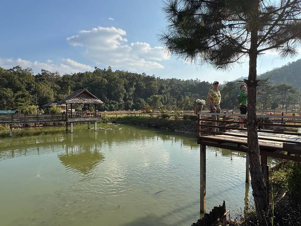 Peaceful Temples