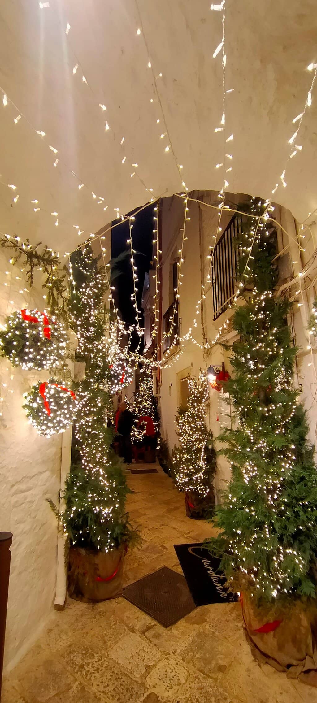 Christmas Luminarie