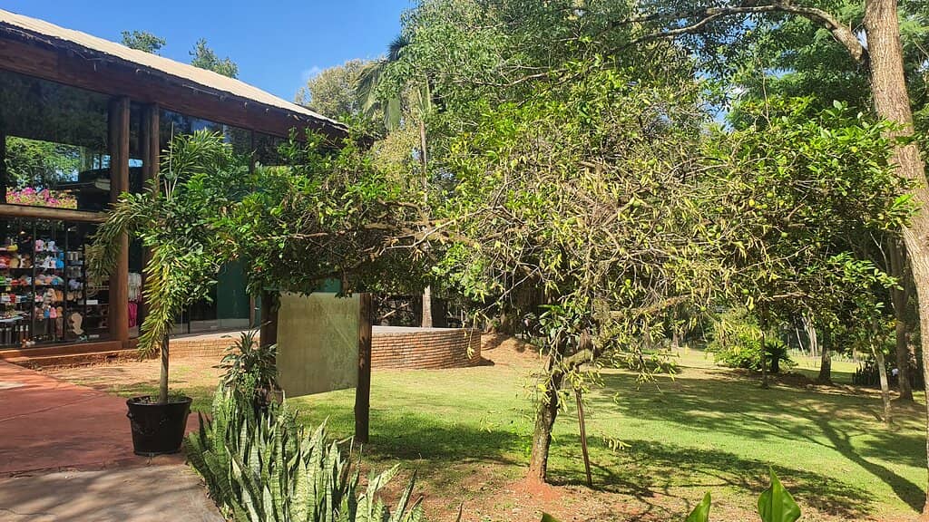 Tirolesa (Zipline)