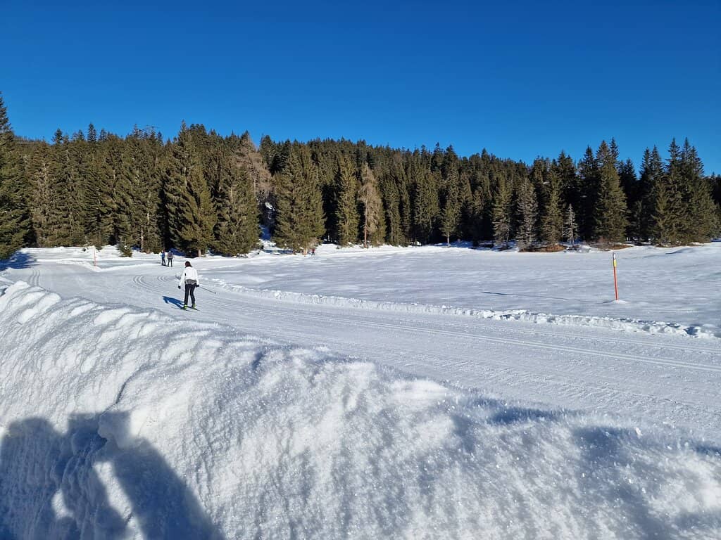 Personalized Cross-Country Lessons