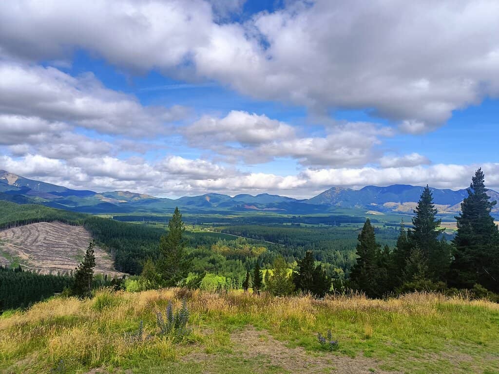 Jacks Pass Detour
