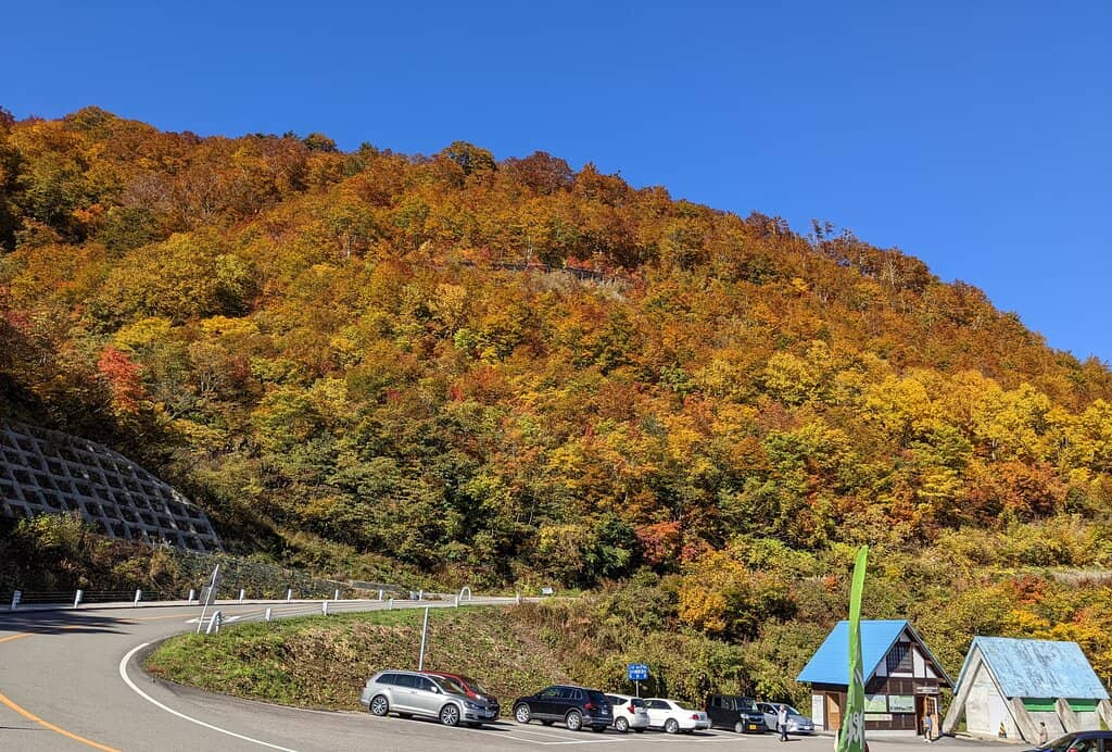 Snow Corridors (Spring)