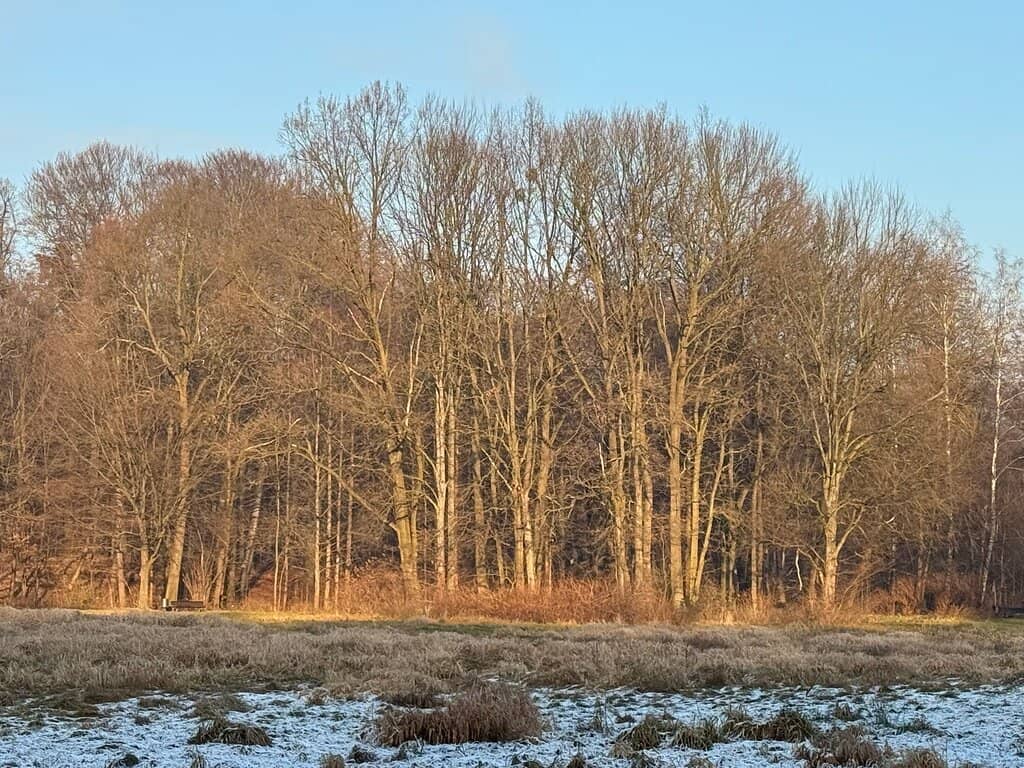 Miniatures & Armoury Exhibits