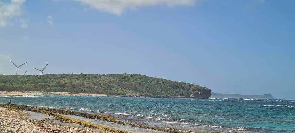 Shallow Water Snorkeling
