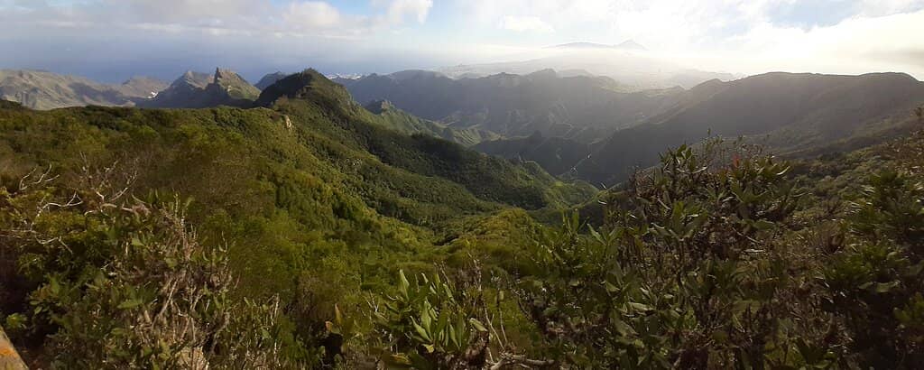 Varied Hiking Trails