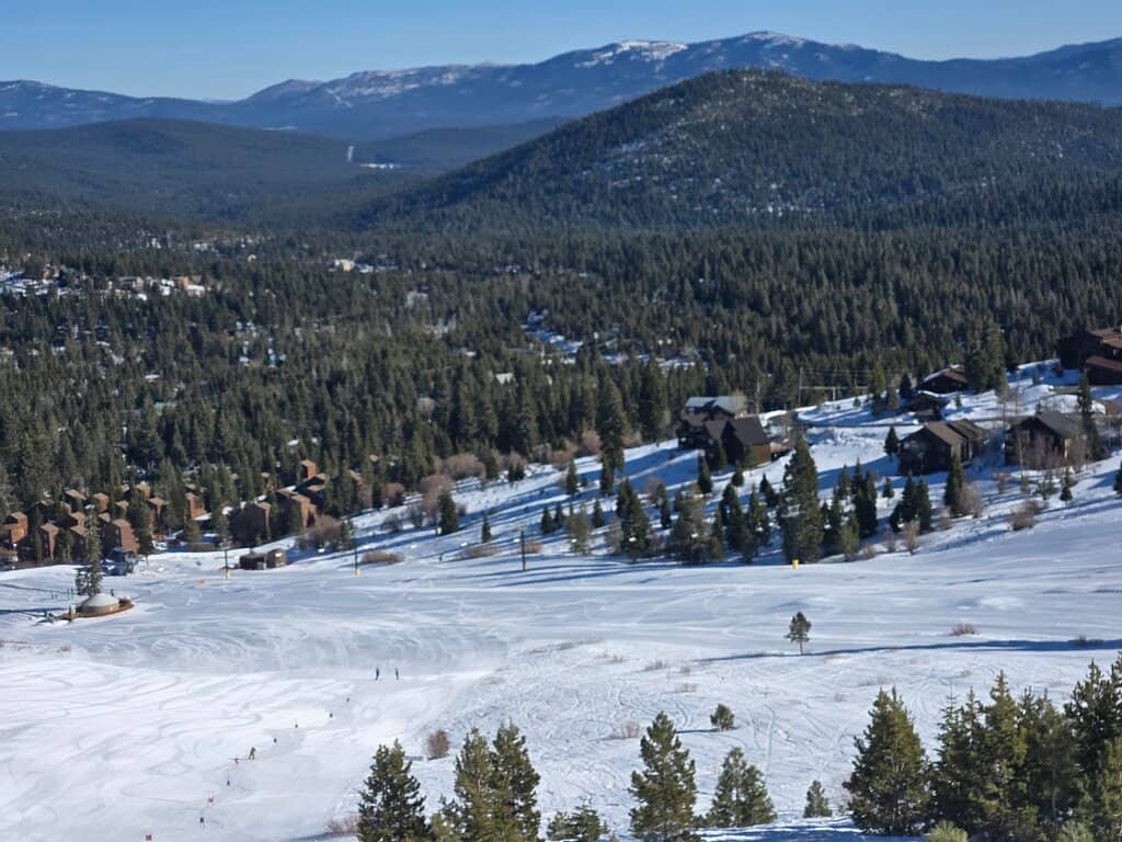 Private & Group Lessons