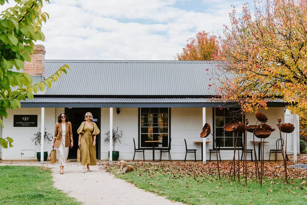 Picturesque Vineyard Views