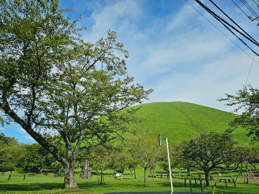 Seasonal Greenery