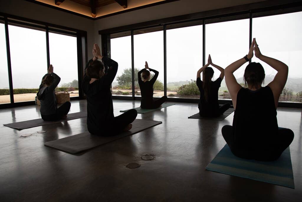 Vineyard Views & Gardens