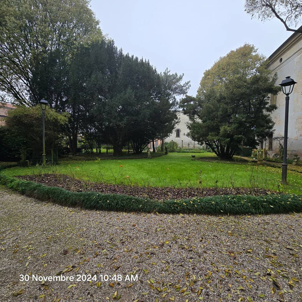Terrace View