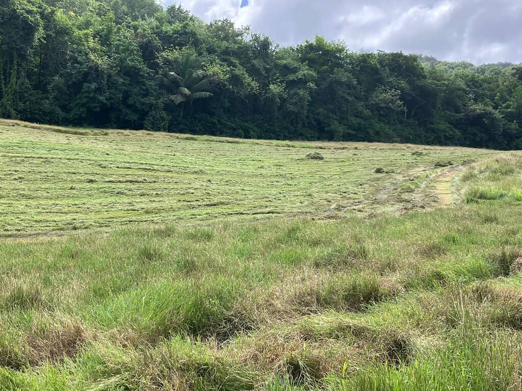 Unique Course Layout