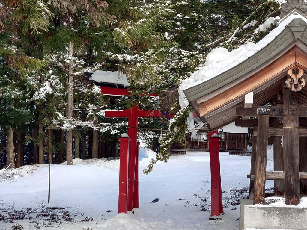 Vertical photo