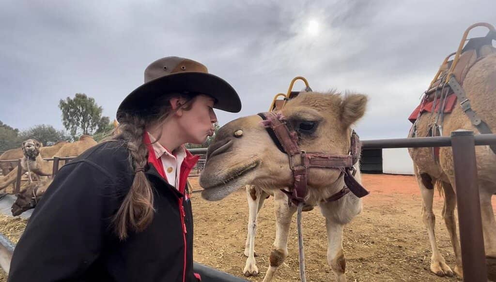 Sunset Camel Ride