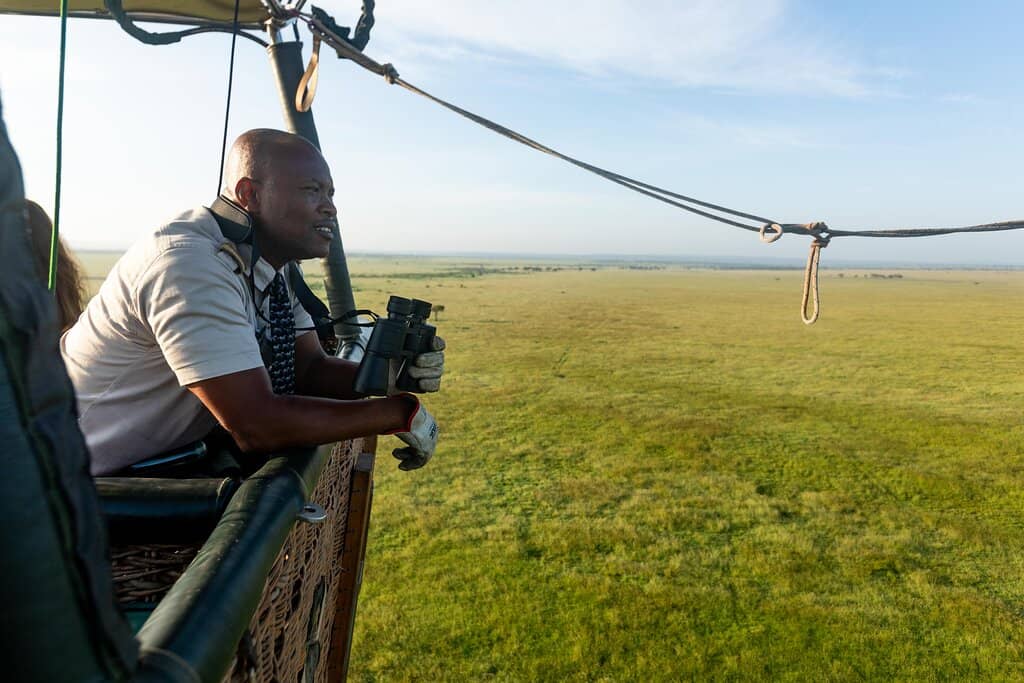 Aerial Wildlife Spectacle