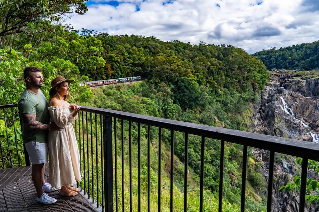 Rainforest Vistas