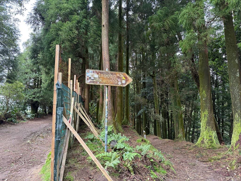 Scenic Lakeside Views