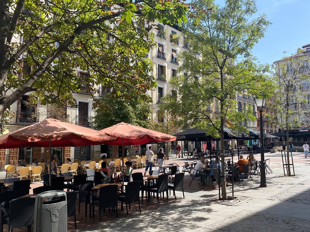 Tapas & Culinary Delights