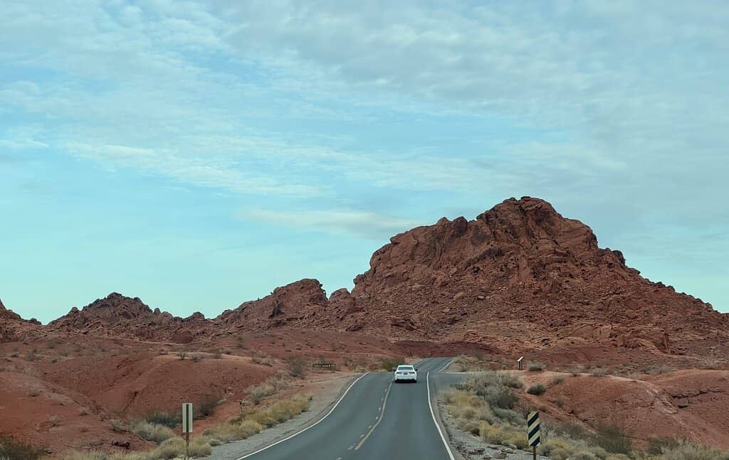 The Iconic Elephant Shape