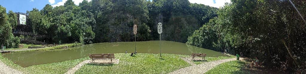 Serene Swimming Lake