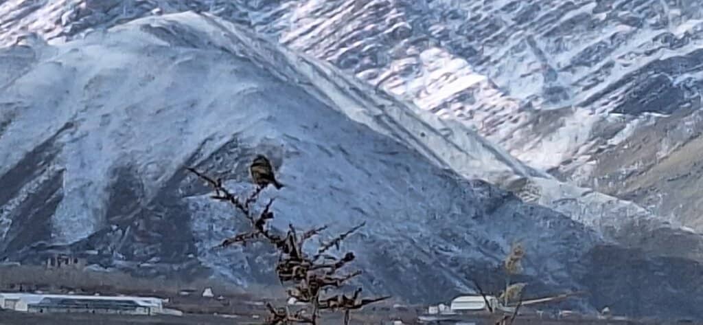 The Indus River Banks