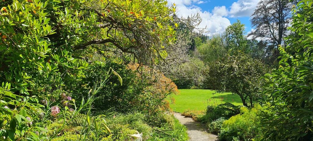 Exotic & Native Trees