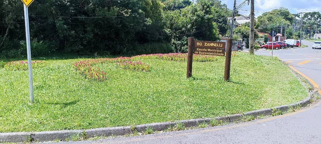 Catwalk Through the Canopy