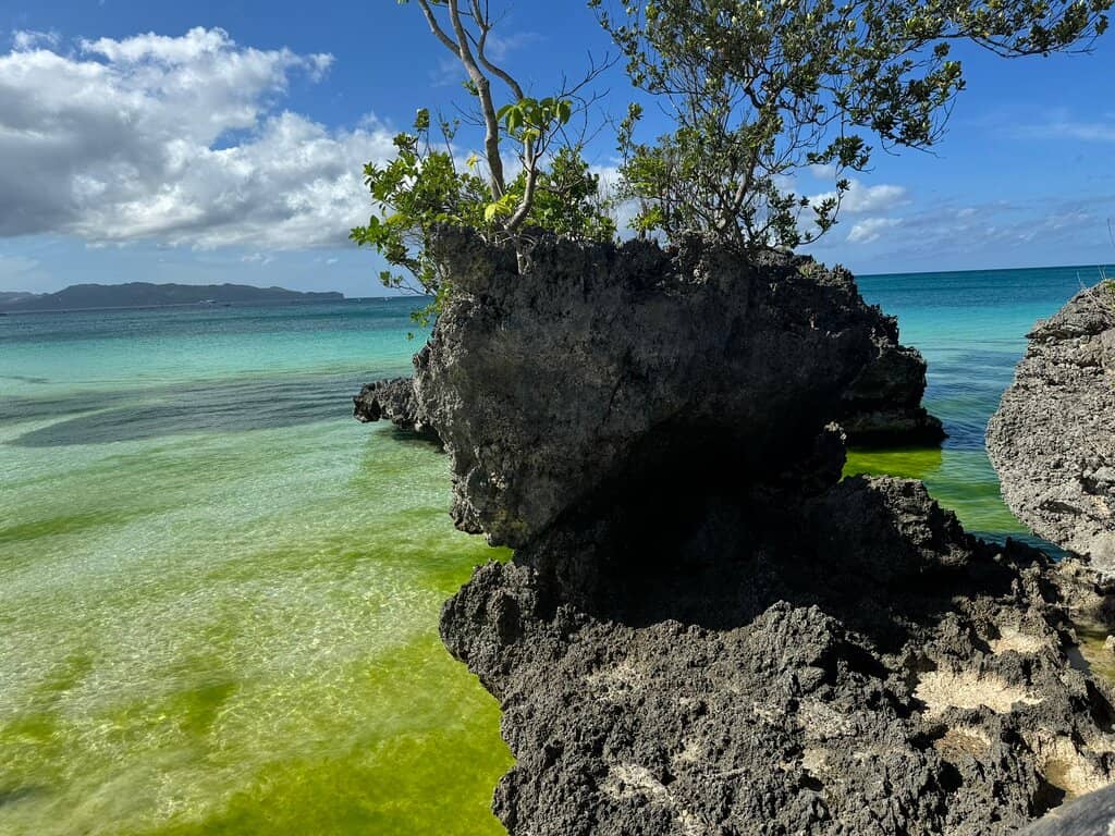 The Grotto of the Virgin Mary