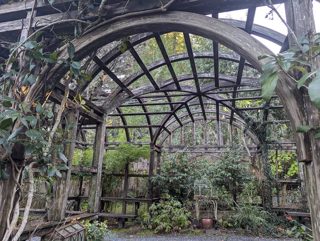 Meandering Pathways