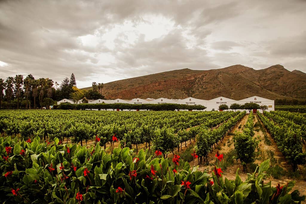 Family Heritage Tasting