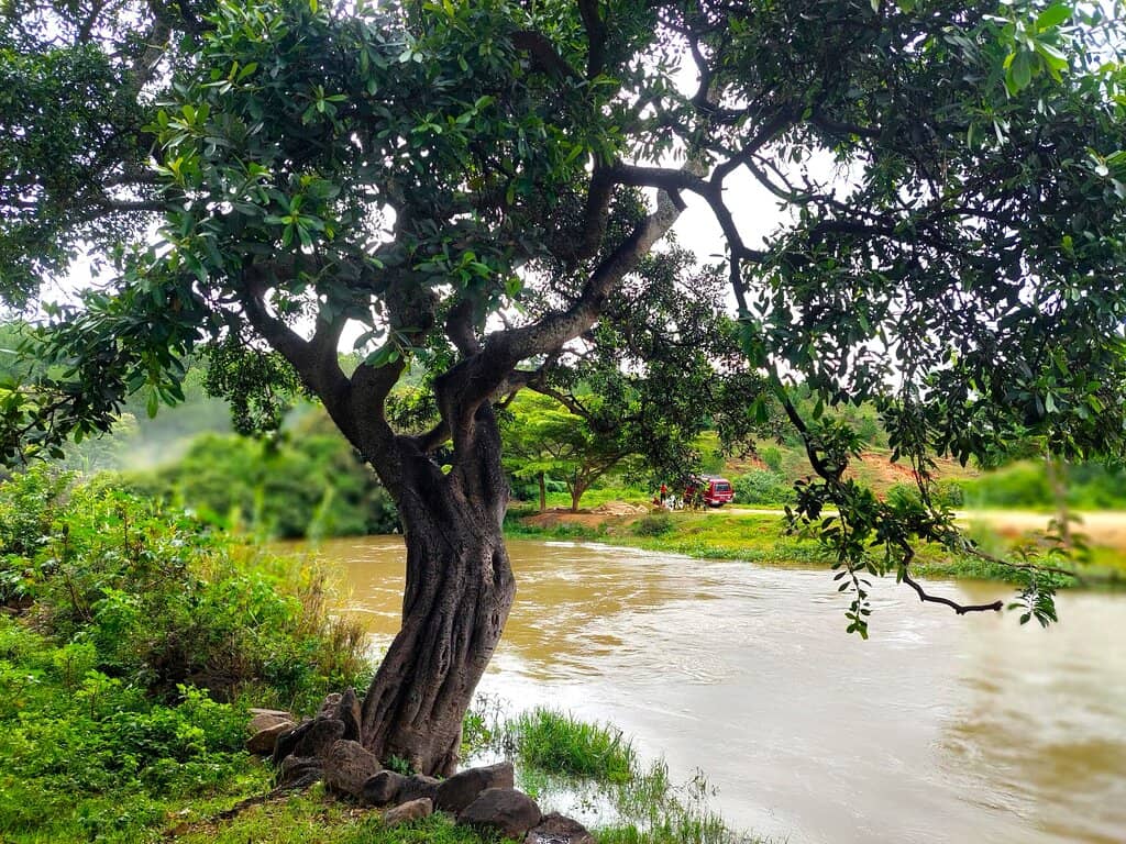 The Second Waterfall Trek
