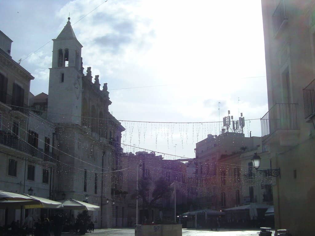 Vertical photo