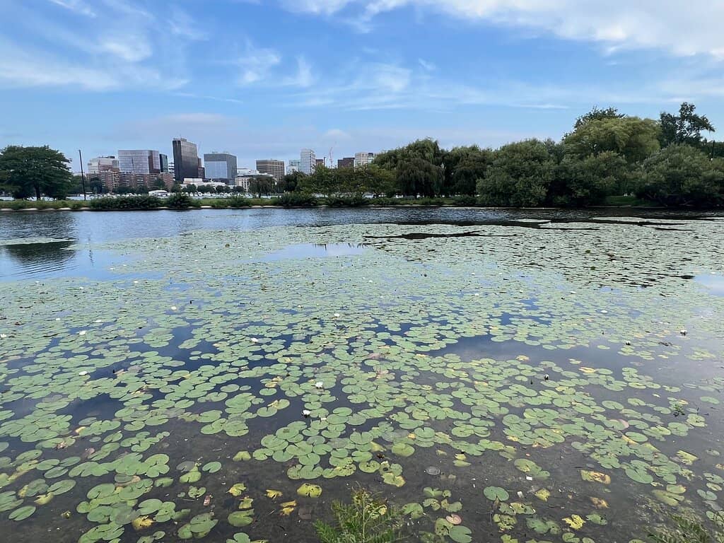 Kayaking & Paddleboarding