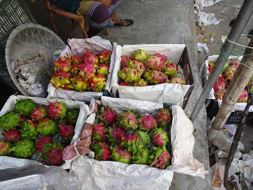 Street Food Delights