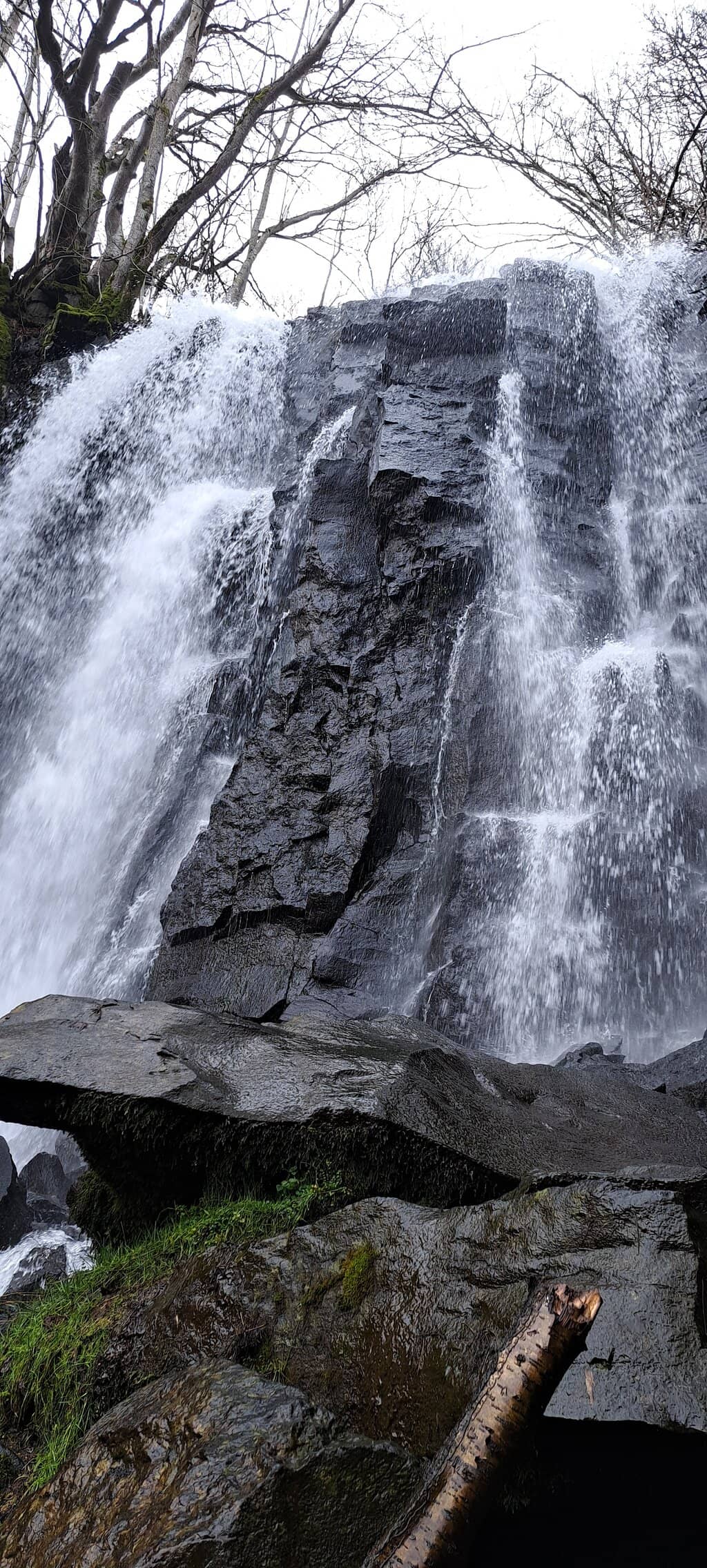 Forest Walk to the Falls